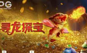 大小单双导师带赚包赔正式版