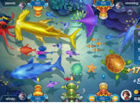 大小单双导师带赚包赔客户端